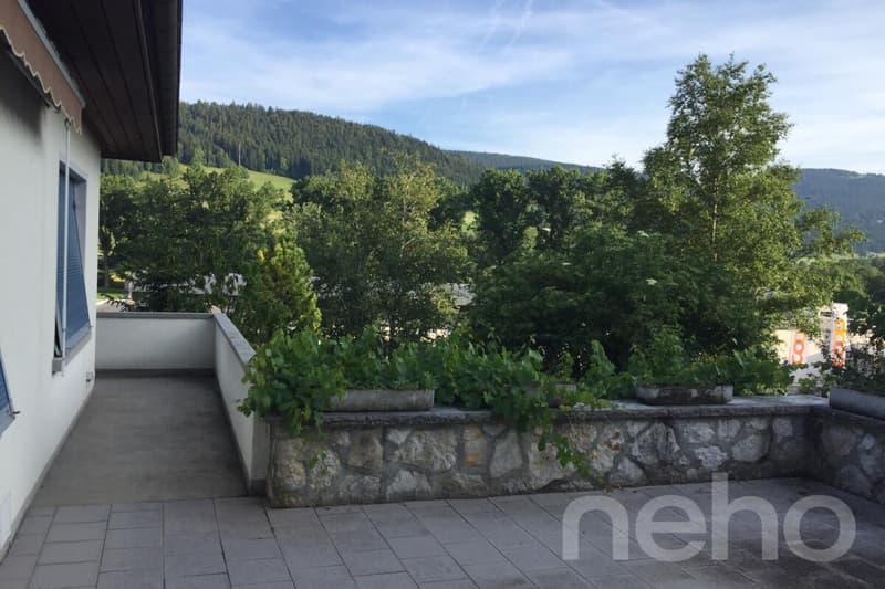 Maison 6 pièces avec terrain de 2 000 m² à Couvet (12)
