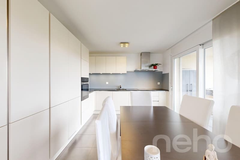 Lumineux 4.5p familial : terrasse 24m² & suite parentale (2)