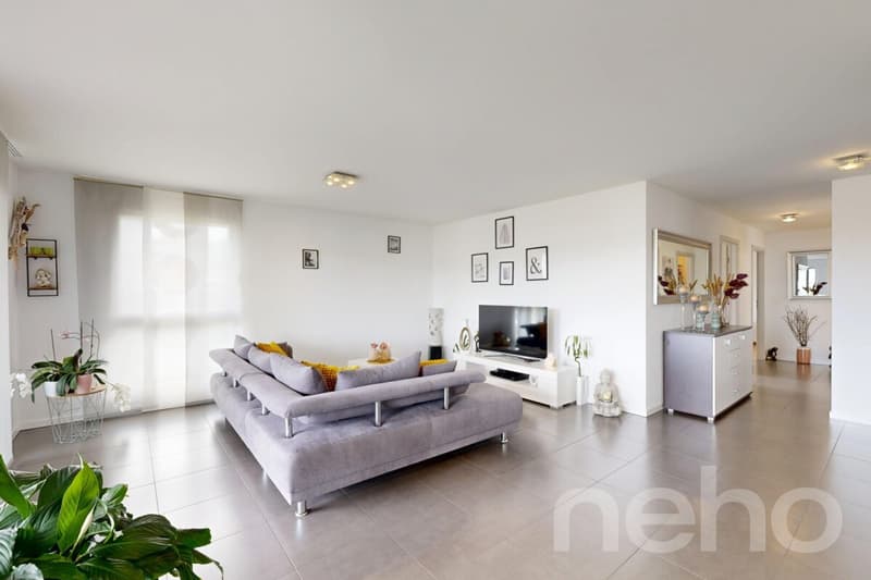 Lumineux 4.5p familial : terrasse 24m² & suite parentale (1)