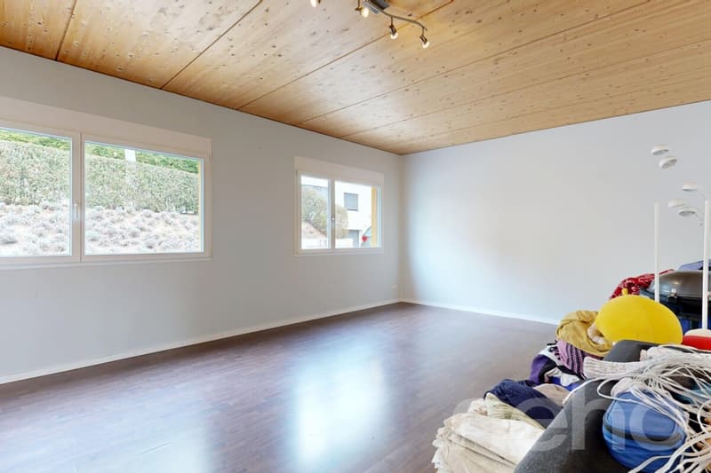 Modernes Einfamilienhaus mit Loftcharakter und grossem Garten (5)