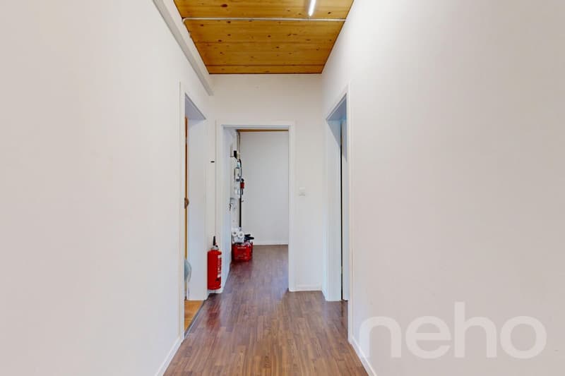 Modernes Einfamilienhaus mit Loftcharakter und grossem Garten (4)