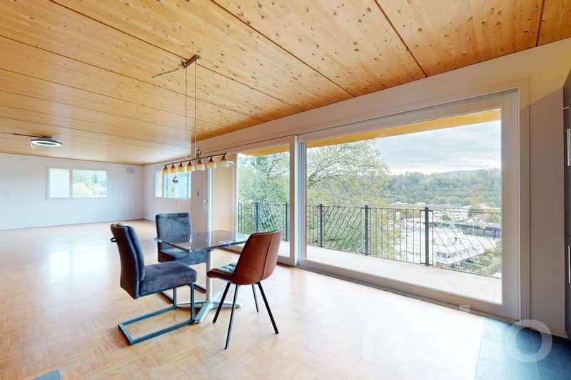 Modernes Einfamilienhaus mit Loftcharakter und grossem Garten (3)