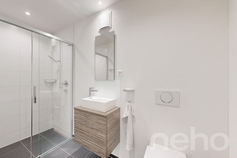 Moderne 4.5-Zimmer-Wohnung in Mettmenstetten (7)