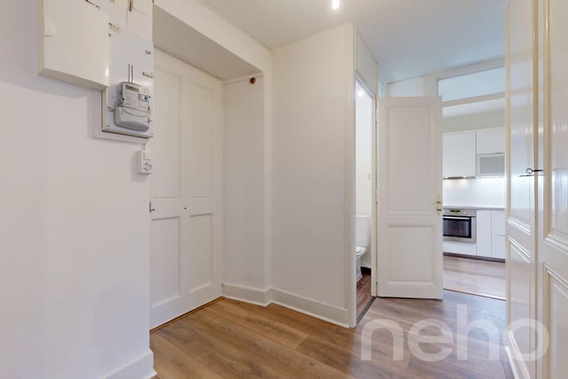 Charmant appartement à deux pas de Carouge (11)