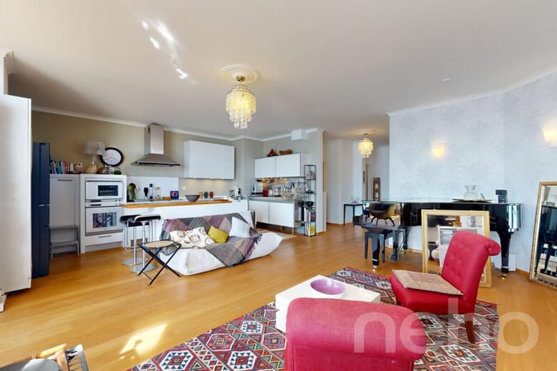 Appartement coup de c?ur avec jardin et vue panoramique sur le lac (8)