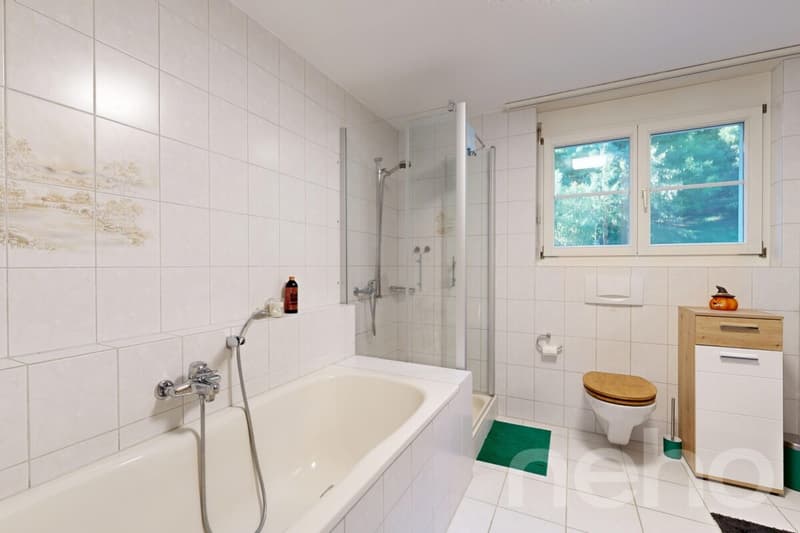 Grosszügige 4.5-Zimmer-Wohnung mit weitläufiger Sonnenterrasse (11)