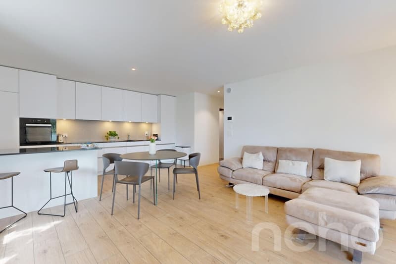 Appartement 4.5 pces, terrasse 36m2 au bord du lac (2)