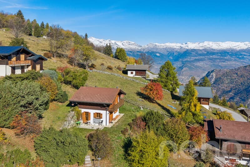 Chalet de montagne en résidence secondaire avec vue idéal pour le ski (3)