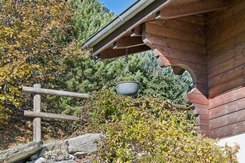 Chalet de montagne en résidence secondaire avec vue idéal pour le ski (12)