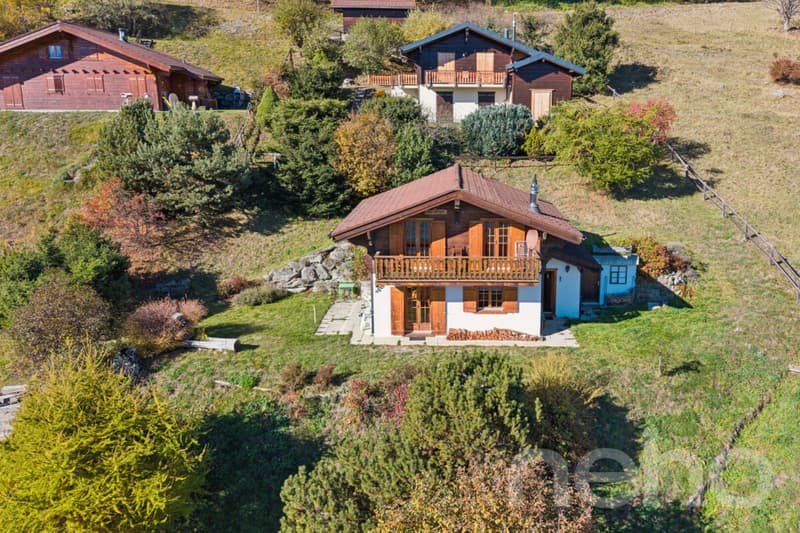 Chalet de montagne en résidence secondaire avec vue idéal pour le ski (7)