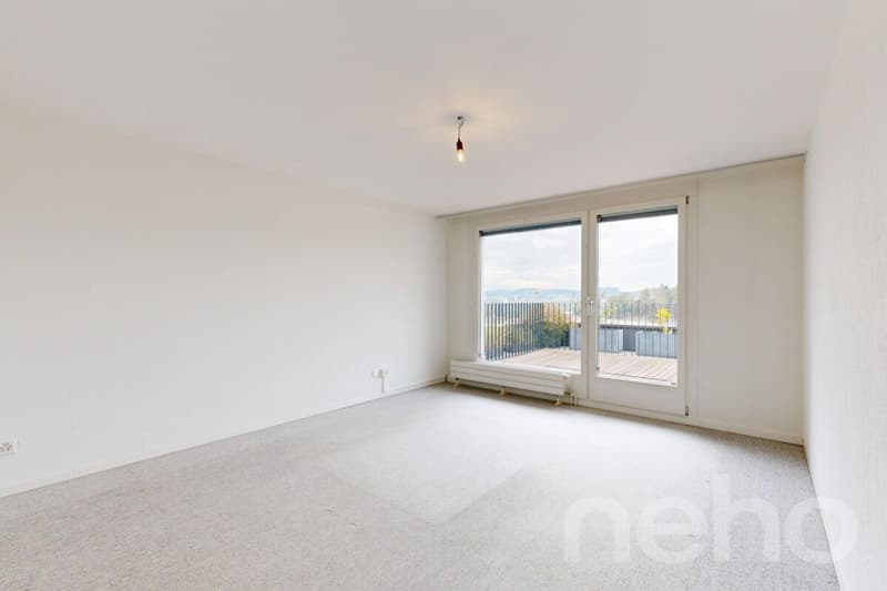 Helle, grosszügige Terrassenwohnung mit Alpensicht (7)