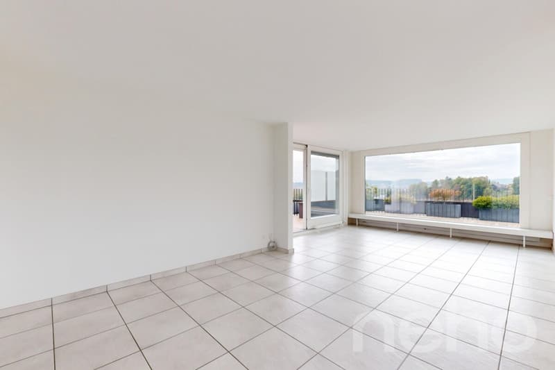 Helle, grosszügige Terrassenwohnung mit Alpensicht (3)