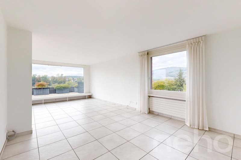 Helle, grosszügige Terrassenwohnung mit Alpensicht (4)