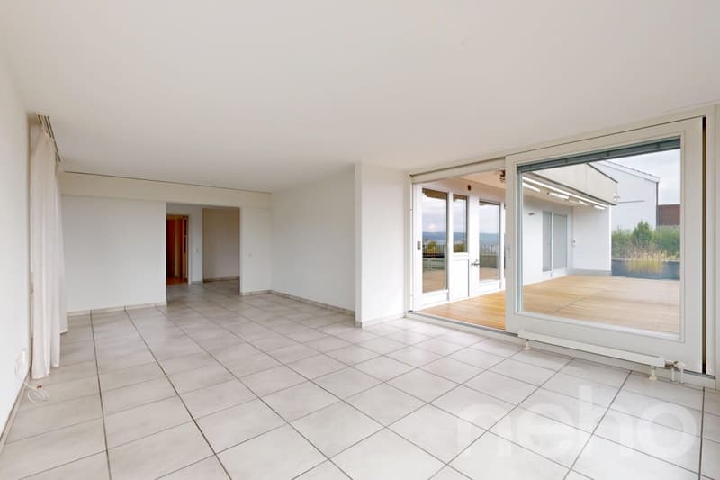 Helle, grosszügige Terrassenwohnung mit Alpensicht (2)