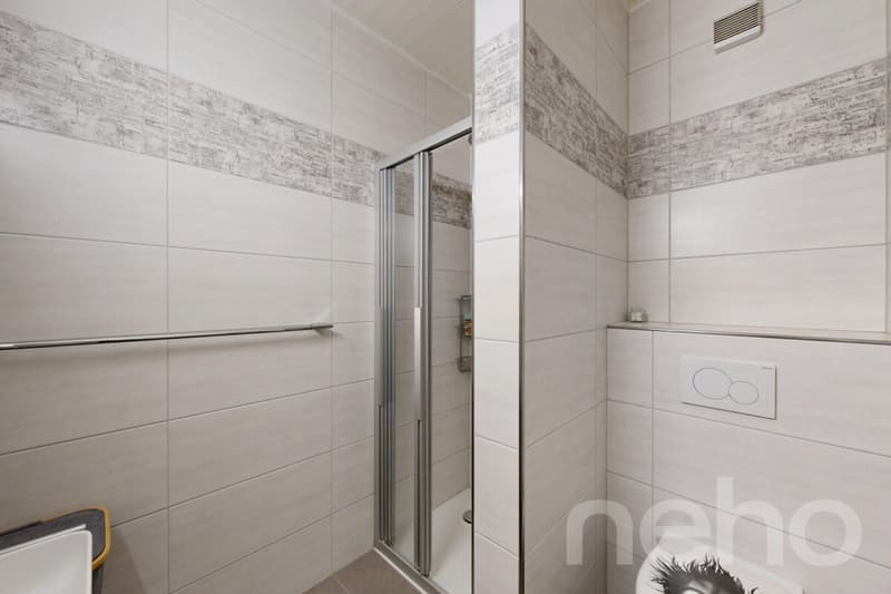 Duplex en attique rénové en Terre Sainte aux volumes généreux (9)