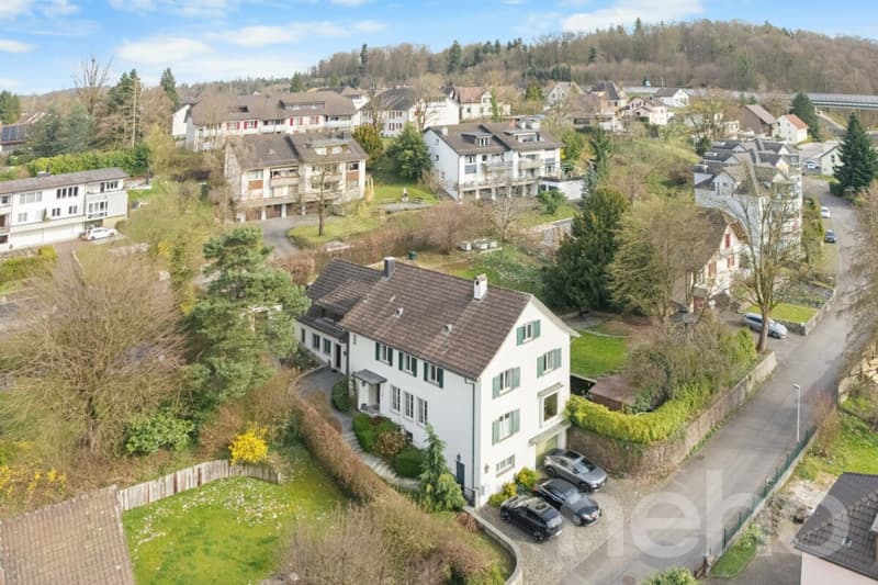 Exklusvie 8-Zi.-Villa mit zusätzlichem 4.5-Zi. Einfamilienhaus (12)