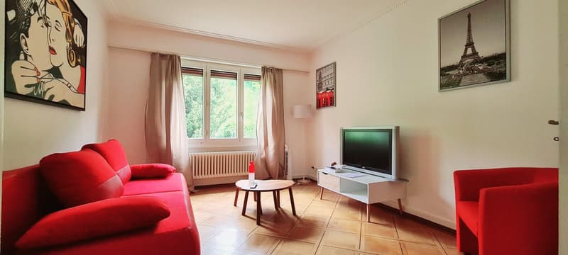 Furnished housing in Lausanne & area! (1)
