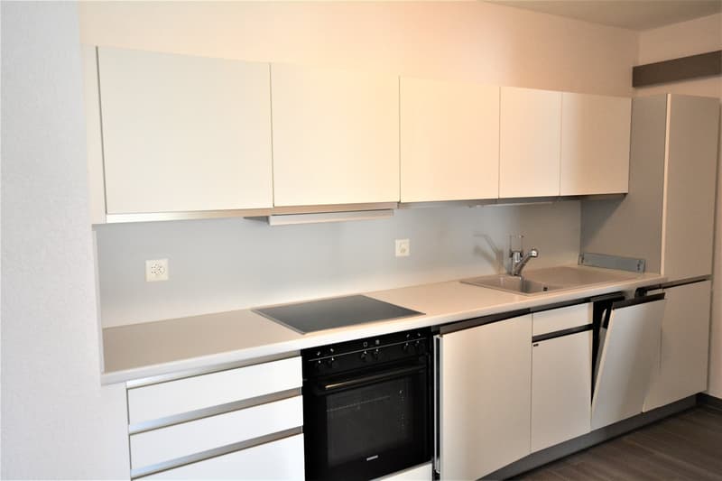 Immeuble de 13 appartements adaptés (13)