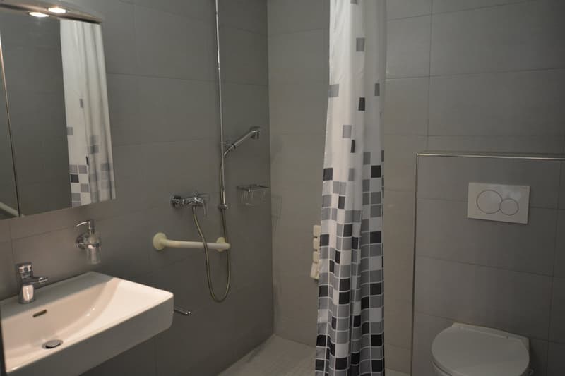 Immeuble de 13 appartements adaptés (17)