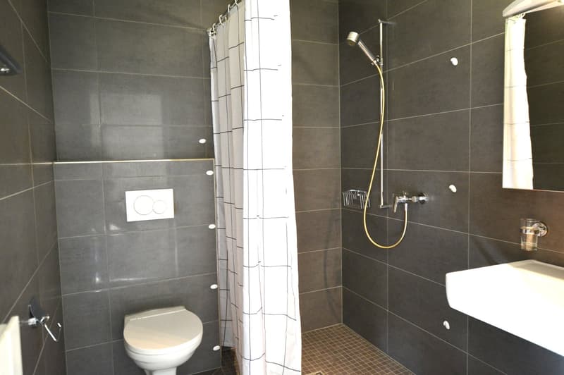 Immeuble de 13 appartements adaptés (22)