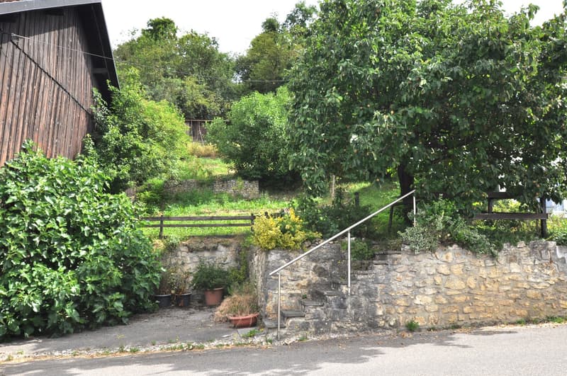 Lush, green garden with a wooden shed, stone wall, and stairs leading up to a raised platform or balcony area.