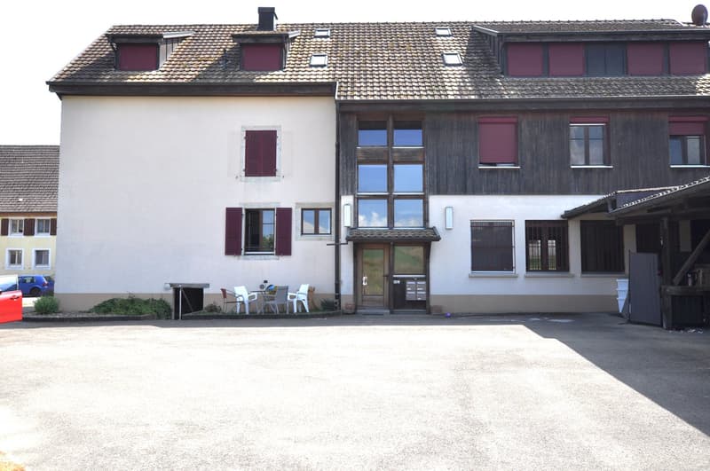 Très bel appartement en PPE, avec cachet, de 3 pièces à Montignez (18)