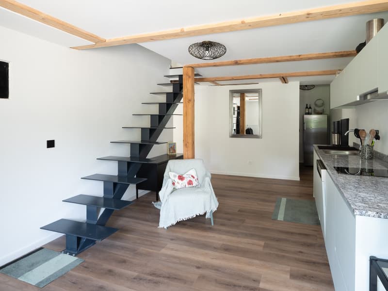 Interior of small house with an open floor plan. The house features an open-plan living room and kitchen area with hardwood floors. There is a modern staircase leading to a potential bedroom above. Modern kitchen with white cabinets and granite countertop
