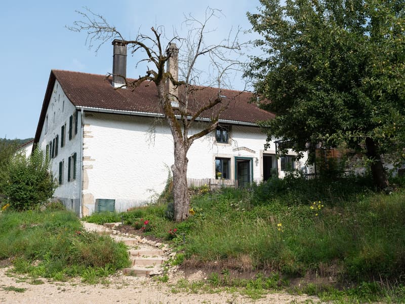 White house with brown roof, multiple windows, steps leading to the house, two chimneys, surrounded by grass and trees