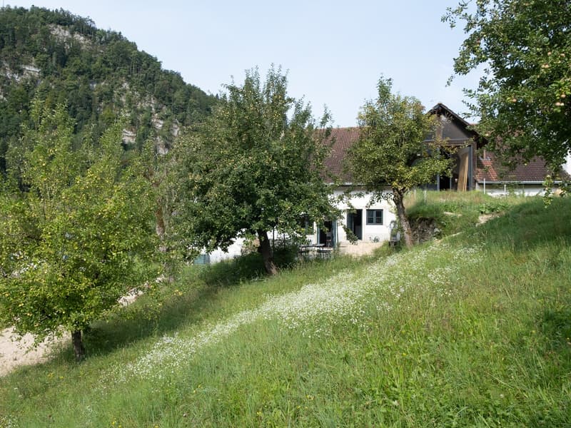 A white house situated on a sloped area, surrounded by lush greenery and trees.