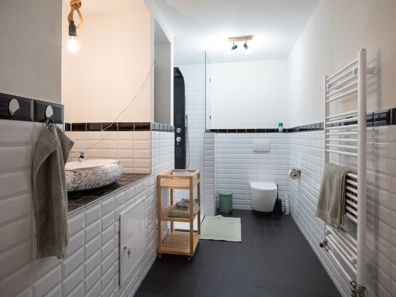 White tiled walls, black tiles on the floor, sink with faucet, shower stall with glass door, toilet, towel rack, small wooden shelving, green bin, roll of toilet paper, towel, bathroom radiator