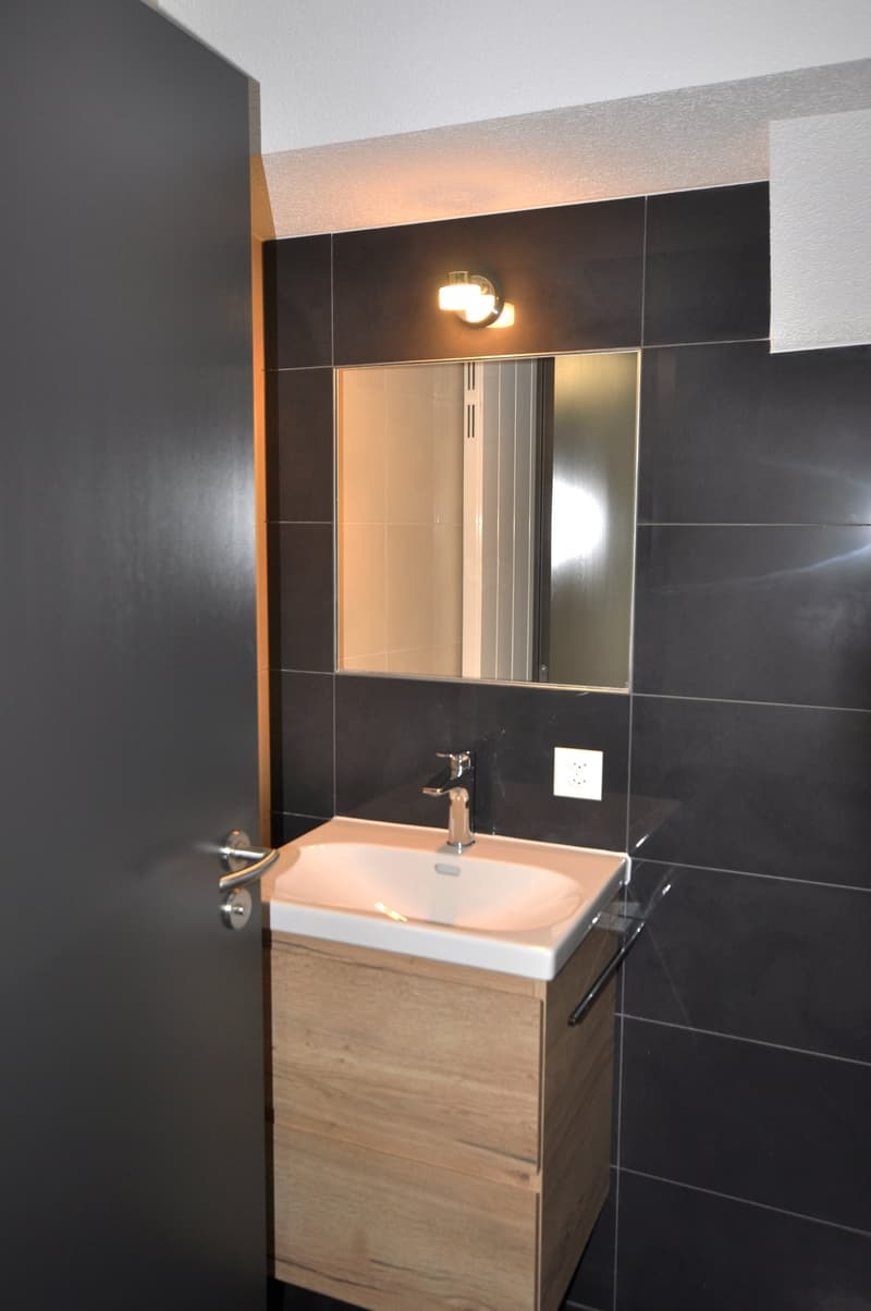 Sink with mirror, modern design, tiled walls, simple cabinet