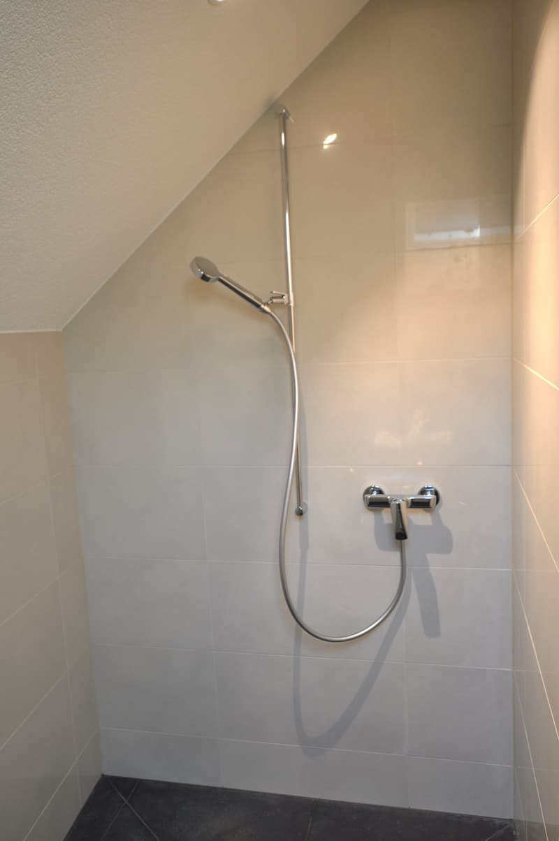 tiled wall, black tiled floor, shower, chrome fixtures