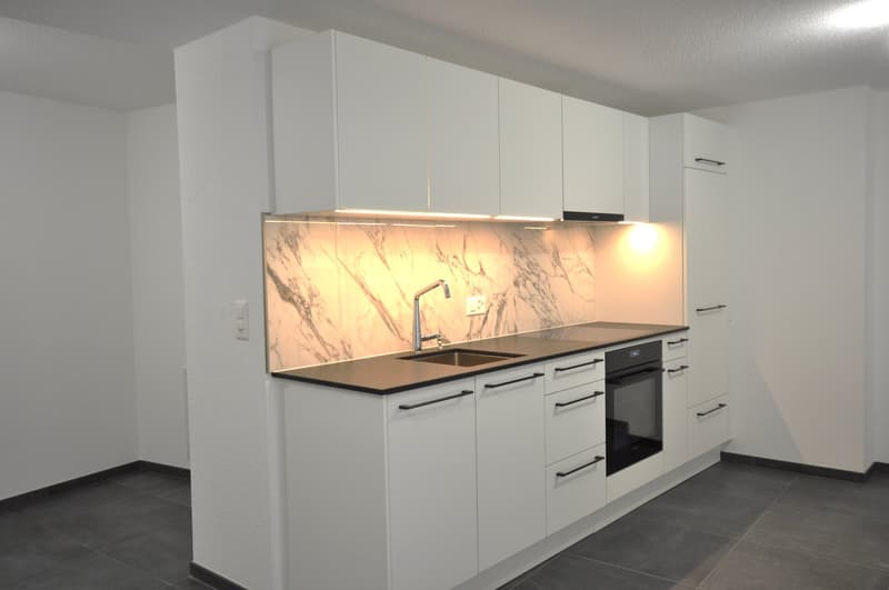 modern fitted kitchen, with a marbled backsplash, integrated oven, dishwasher and washing machine