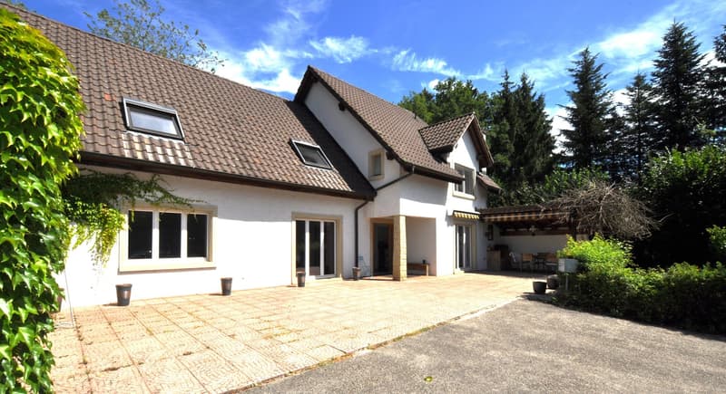 Detached house, brown roof, white walls, glass doors and windows, paved driveway, outdoor dining set, outdoor seating area, potted plants