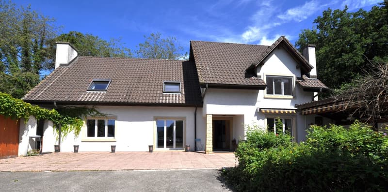 Two story house, white exterior, brown roof, paved entrance, glass doors, double garage, shrubs, trees