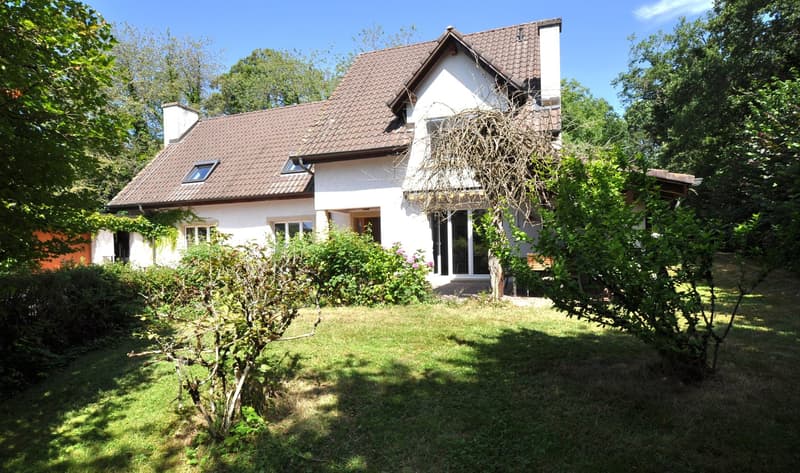 white house with brown roof, glass doors, windows, garden, and plants, bright and sunny