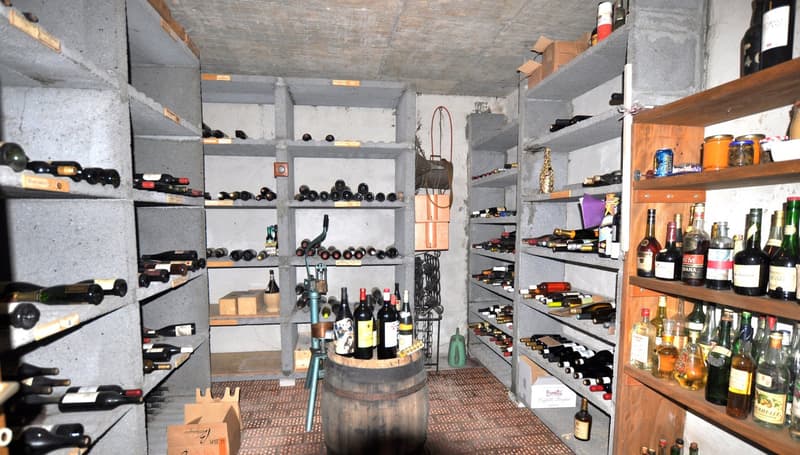wine cellar filled with various bottles of wine in shelves and barrels