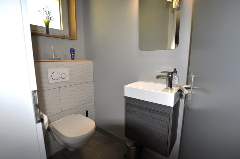 Bathroom with a toilet, a sink, a mirror, and decorative objects