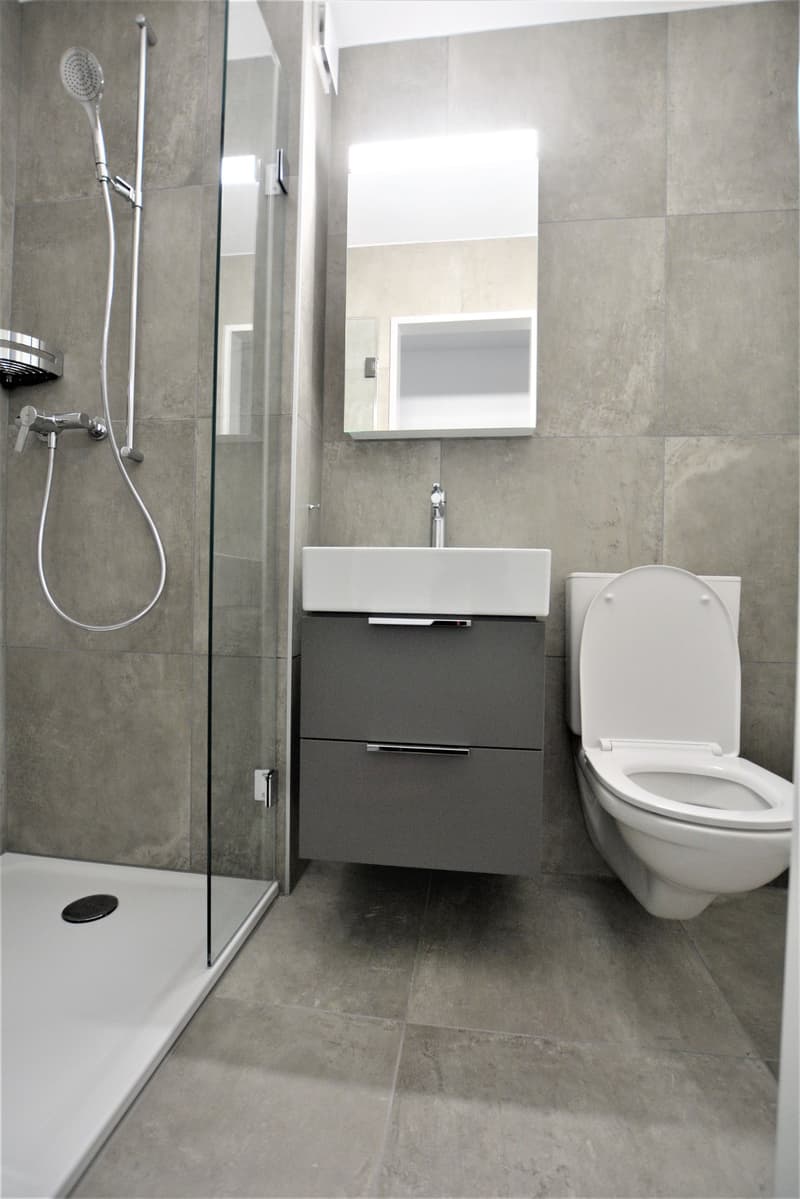 modern bathroom with shower, sink, and toilet