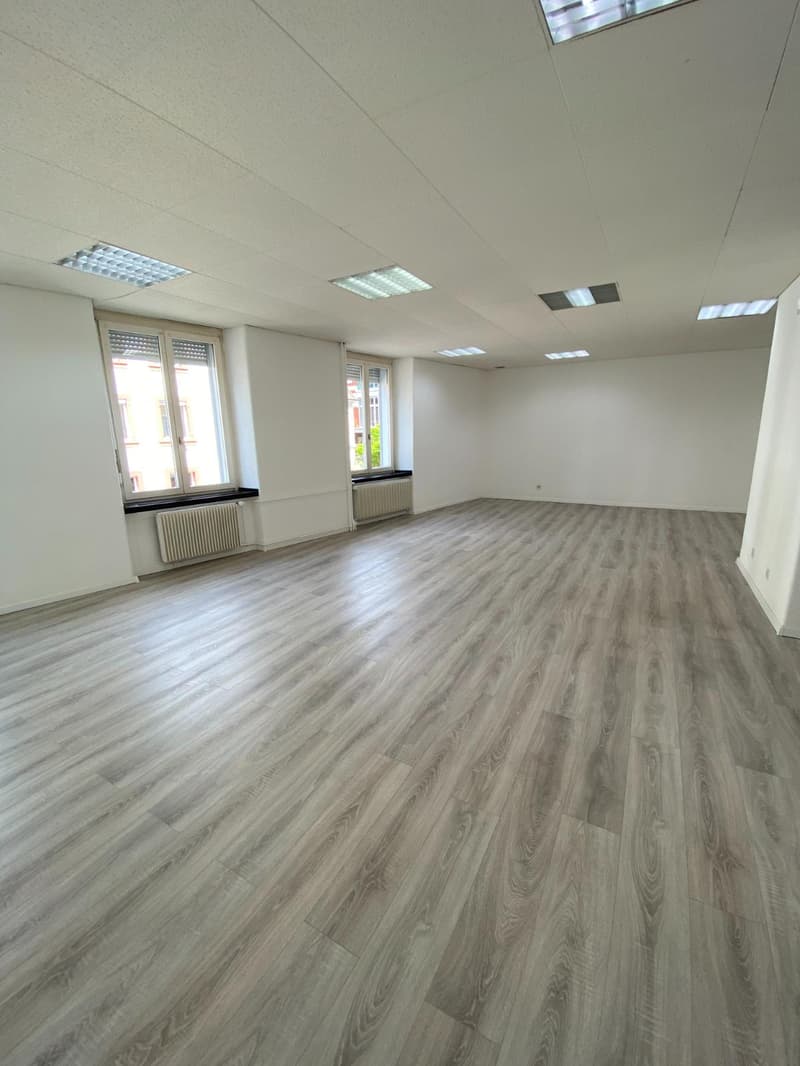 empty room, wooden flooring, large windows, white walls, ceiling with lights