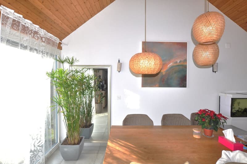 Jolie propriété rénovée située à Fontenais (4)