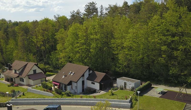 Jolie propriété rénovée située à Fontenais (17)