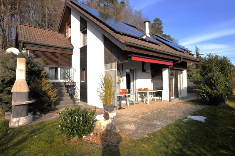 Jolie propriété rénovée située à Fontenais (16)