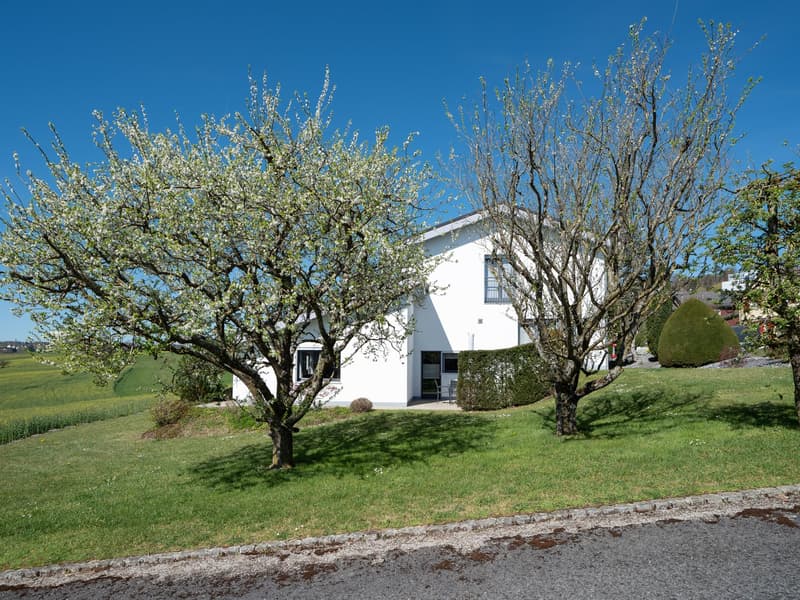 Magnifique villa d’architecte à Porrentruy (11)