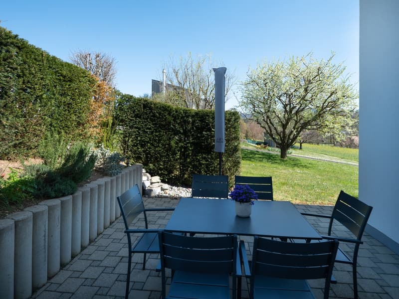 Magnifique villa d’architecte à Porrentruy (7)