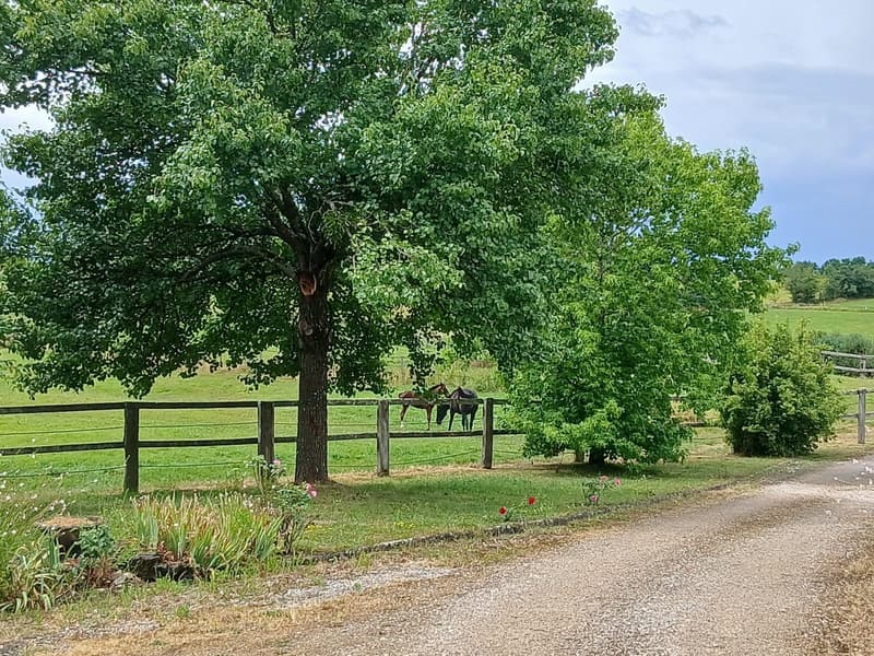 Propriété équestre de charme de 6 hectares, 231 m² habitables et dépendances (4)
