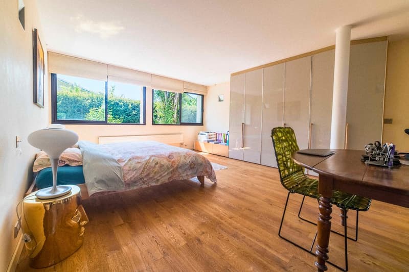 Magnifique propriété située à St-Julien-en-Genevois (15)