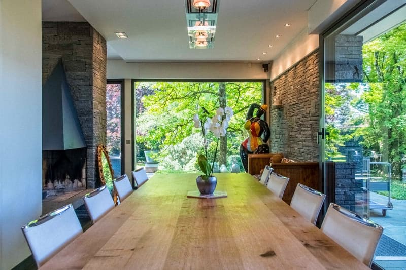 Magnifique propriété située à St-Julien-en-Genevois (8)