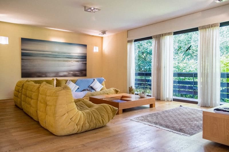 Magnifique propriété située à St-Julien-en-Genevois (11)
