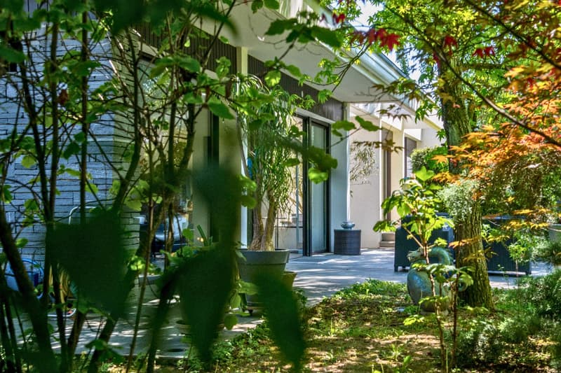 Magnifique propriété située à St-Julien-en-Genevois (19)